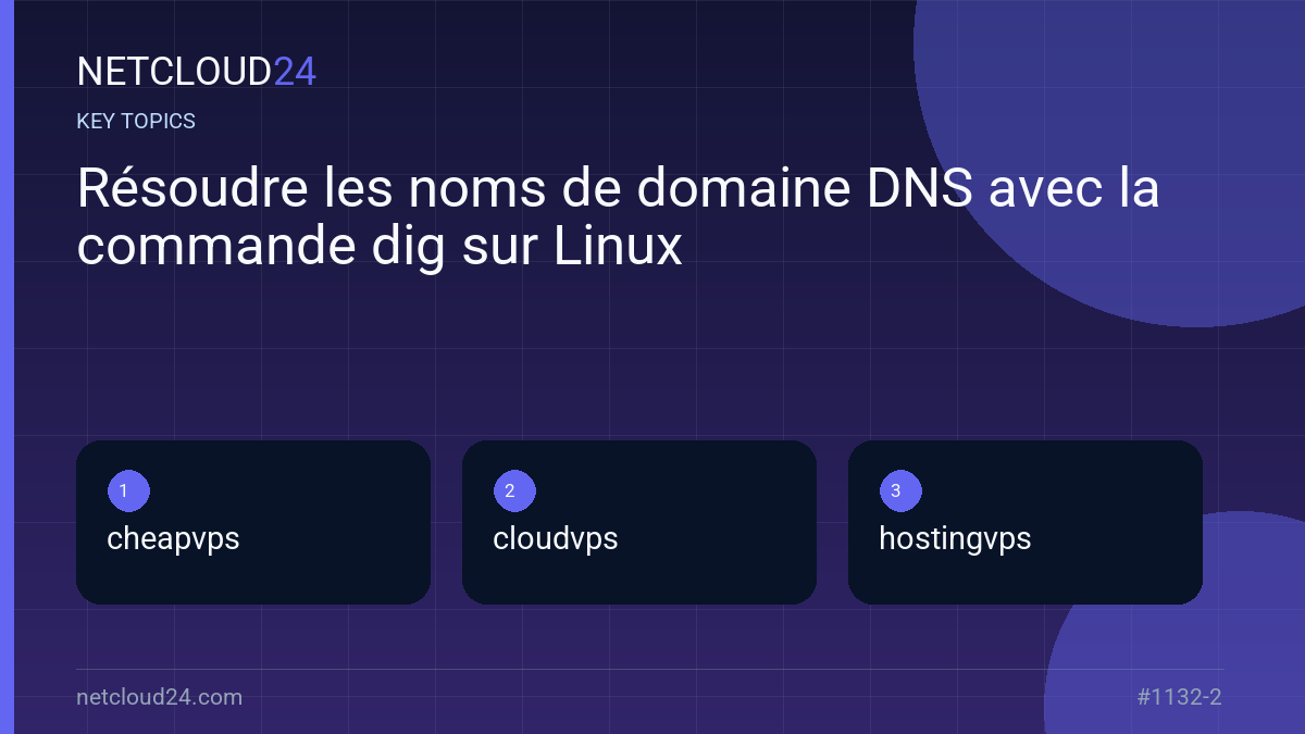 Key topics covered in Résoudre les noms de domaine DNS avec la commande dig sur Linux
