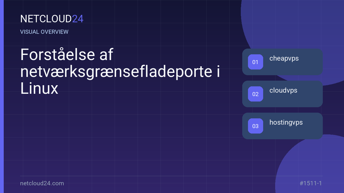 Visual overview of Forståelse af netværksgrænsefladeporte i Linux