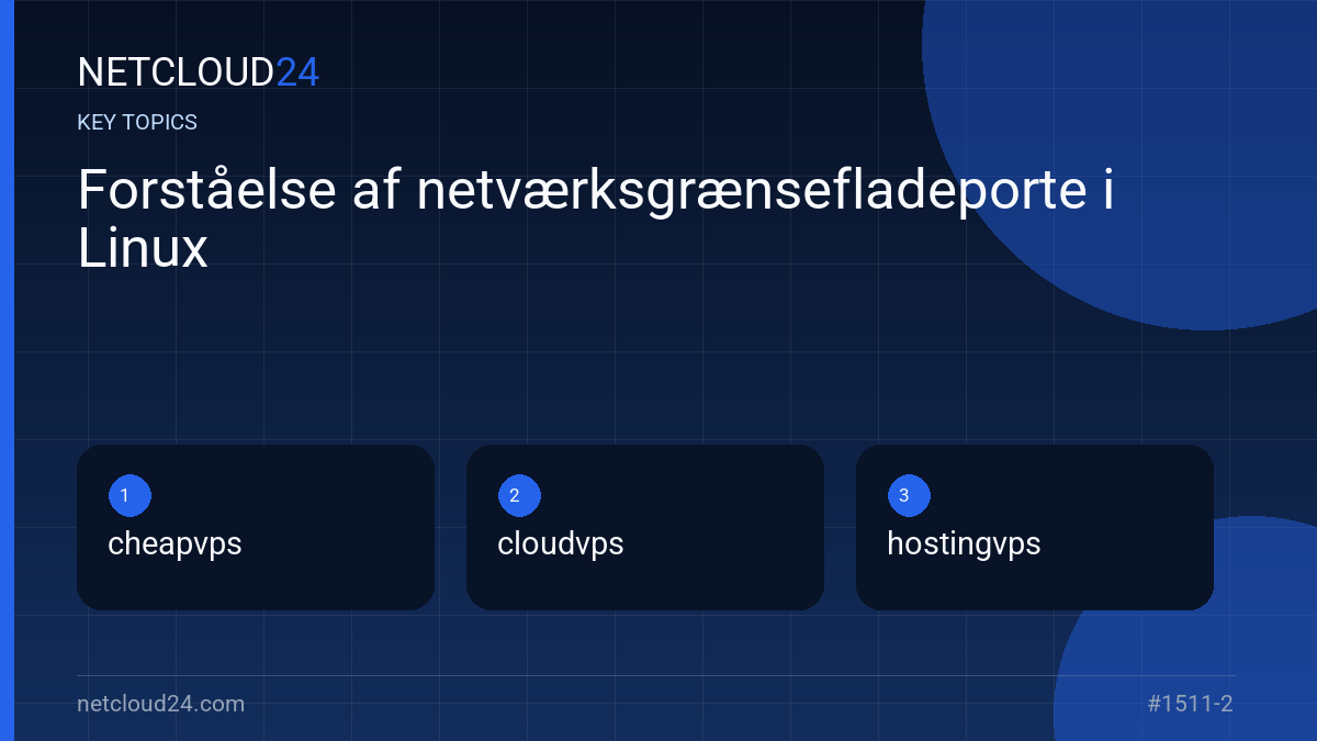 Key topics covered in Forståelse af netværksgrænsefladeporte i Linux