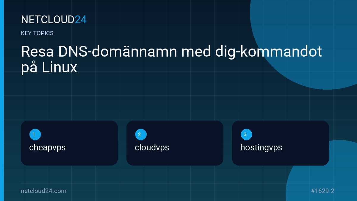 Key topics covered in Resa DNS-domännamn med dig-kommandot på Linux