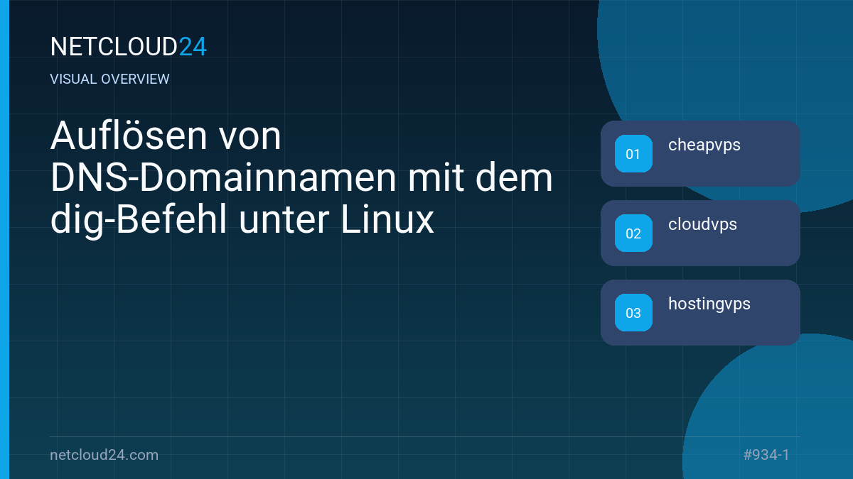 Visual overview of Auflösen von DNS-Domainnamen mit dem dig-Befehl unter Linux