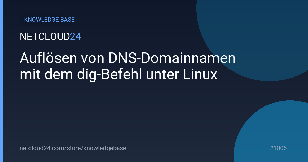 Auflösen von DNS-Domainnamen mit dem dig-Befehl unter Linux