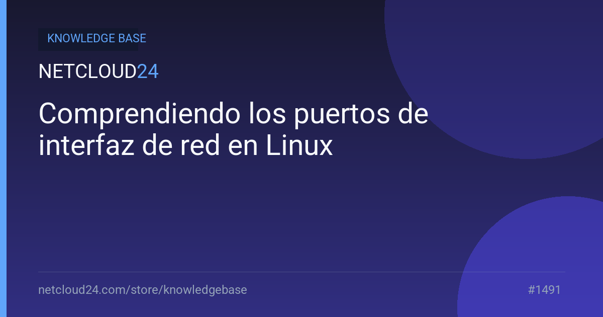 Comprendiendo los puertos de interfaz de red en Linux