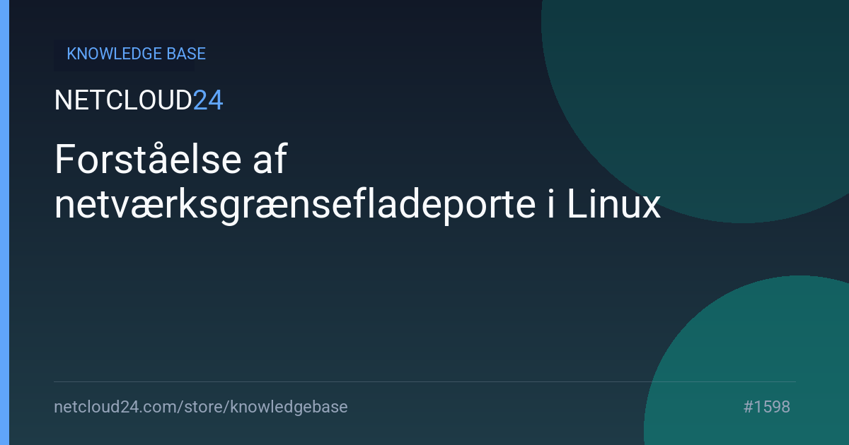 Forståelse af netværksgrænsefladeporte i Linux