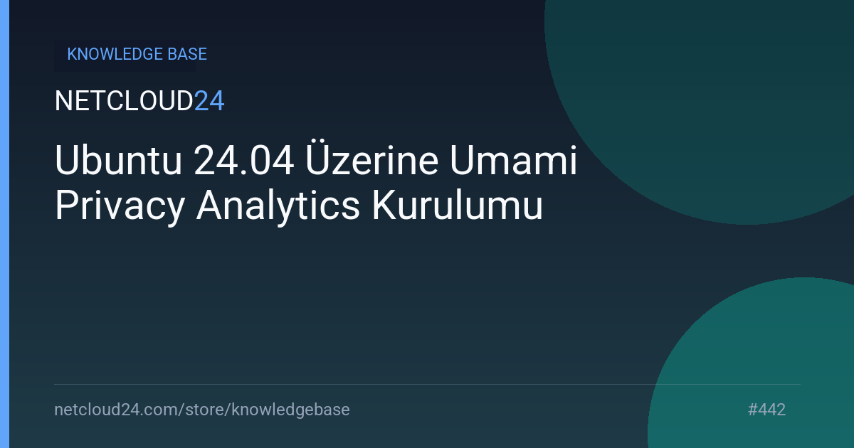Ubuntu 24.04 Üzerine Umami Privacy Analytics Kurulumu
